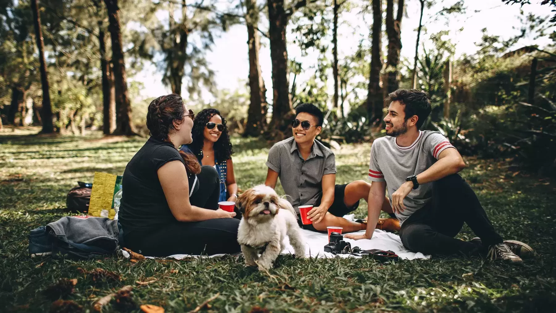 group of people and dog sitting on a blanket in a wooded area eating and drinking